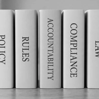 Law & Governance 2